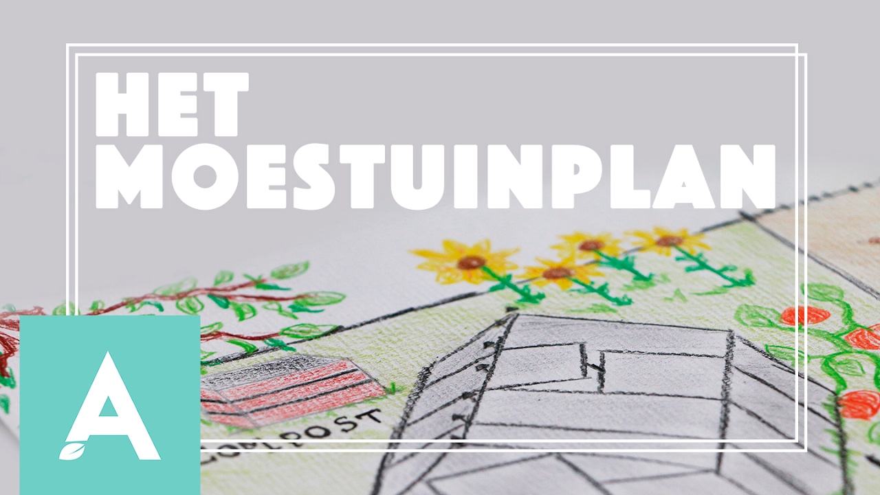Een moestuin beginnen doe je zo! – Grow, Cook, Eat #1