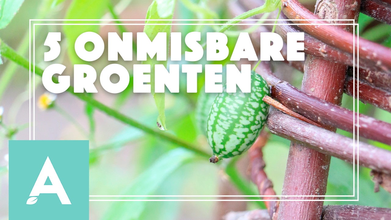 5 onmisbare groenten voor de moestuin! – Grow, Cook, Eat #2