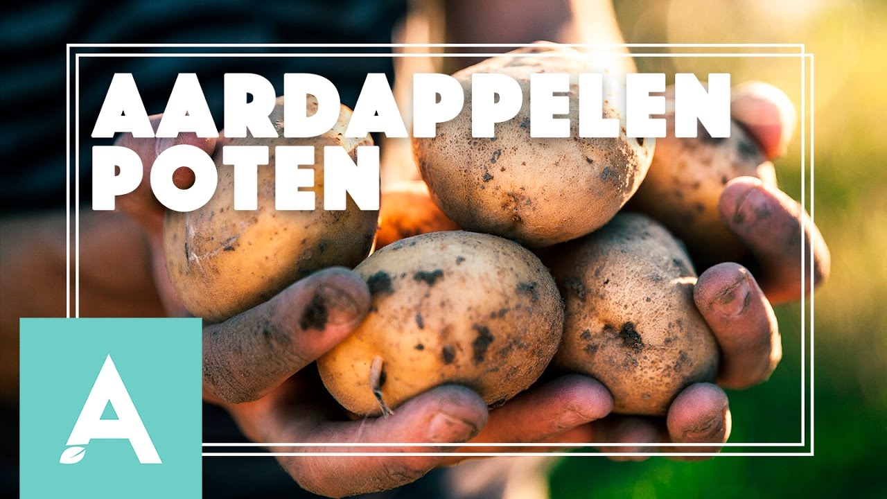 Aardappelen poten! – Grow, Cook, Eat #19