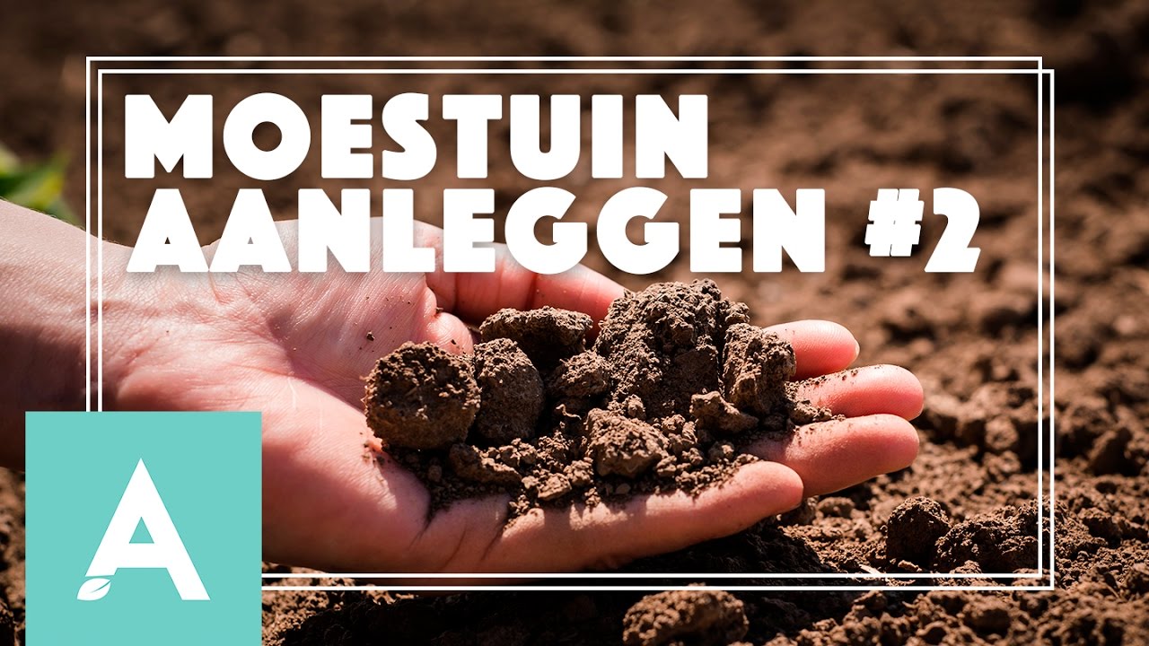 Moestuin aanleggen – Deel 2! – Grow, Cook, Eat #7