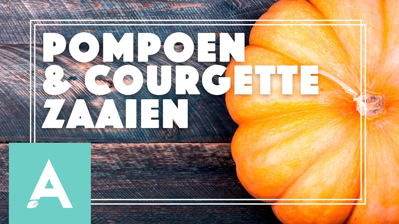 Pompoen en courgette zaaien! – Grow, Cook, Eat #20
