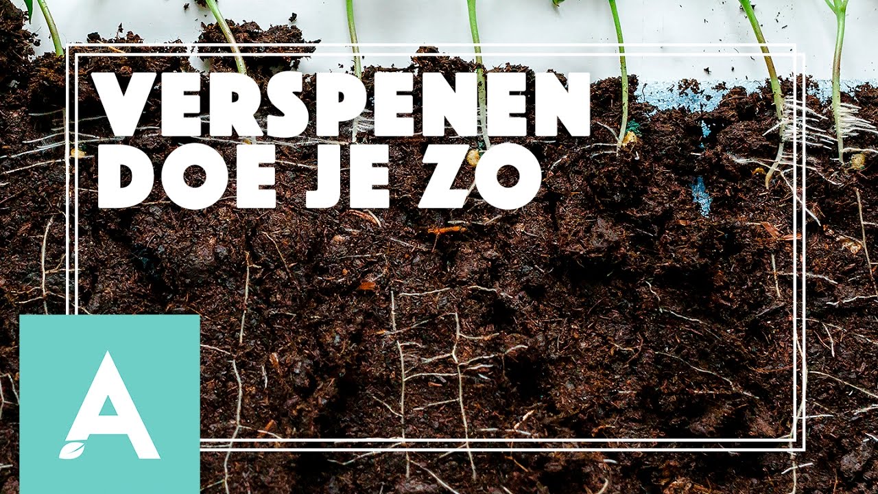 Verspenen doe je zo! – Grow, Cook, Eat #10