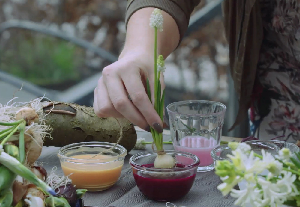 Een Hangende Paastak Met Bolbloemen Green Nl