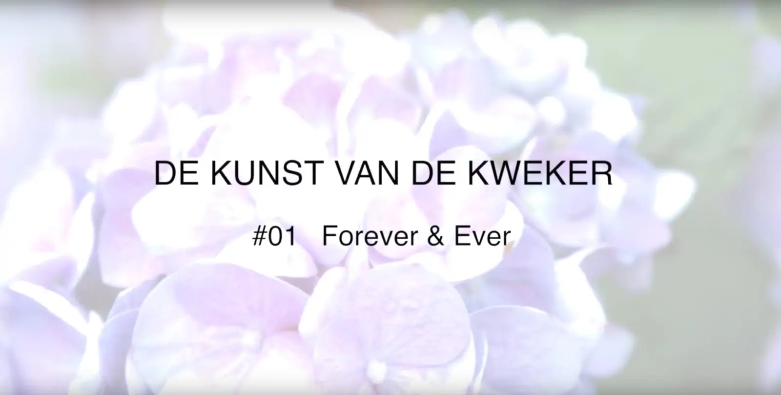 De Kunst van de Kweker #1