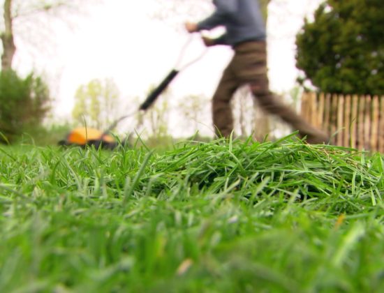 De 10 mooiste liedjes over de lente! - 247Green.nl