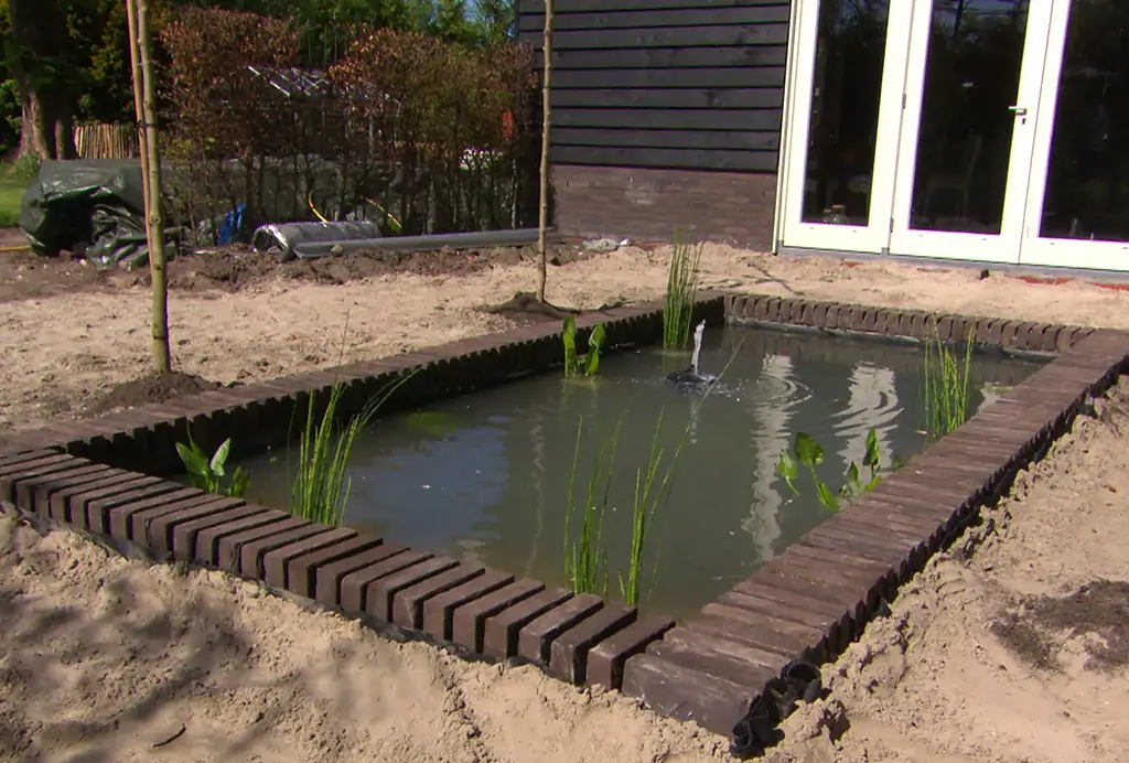 Zelf doen: een kraakheldere vijver aanleggen