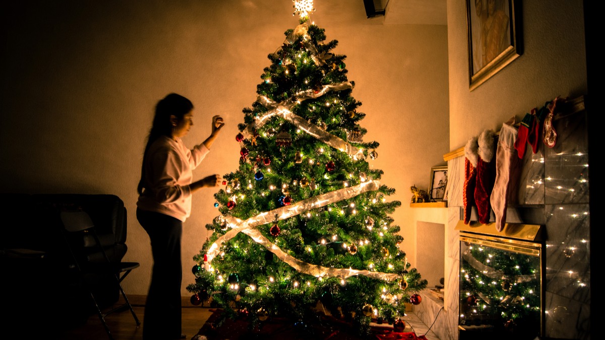 De geschiedenis van de kerstboom