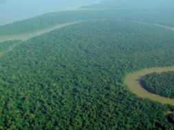 Aerial_view_of_the_Amazon_Rainforest