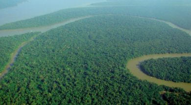 Aerial_view_of_the_Amazon_Rainforest