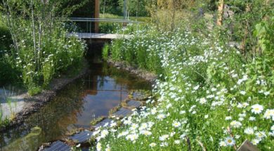 Duurzame tuin