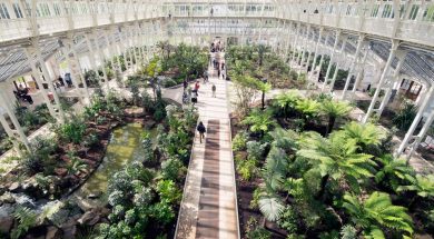 TheMainSectionOfTheTemperateHouse.jpg.990x0_q80_crop-smart