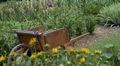 moestuin