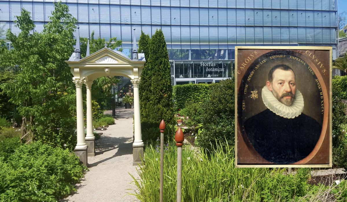 Hortus Botanicus Leiden - Clusiustuin